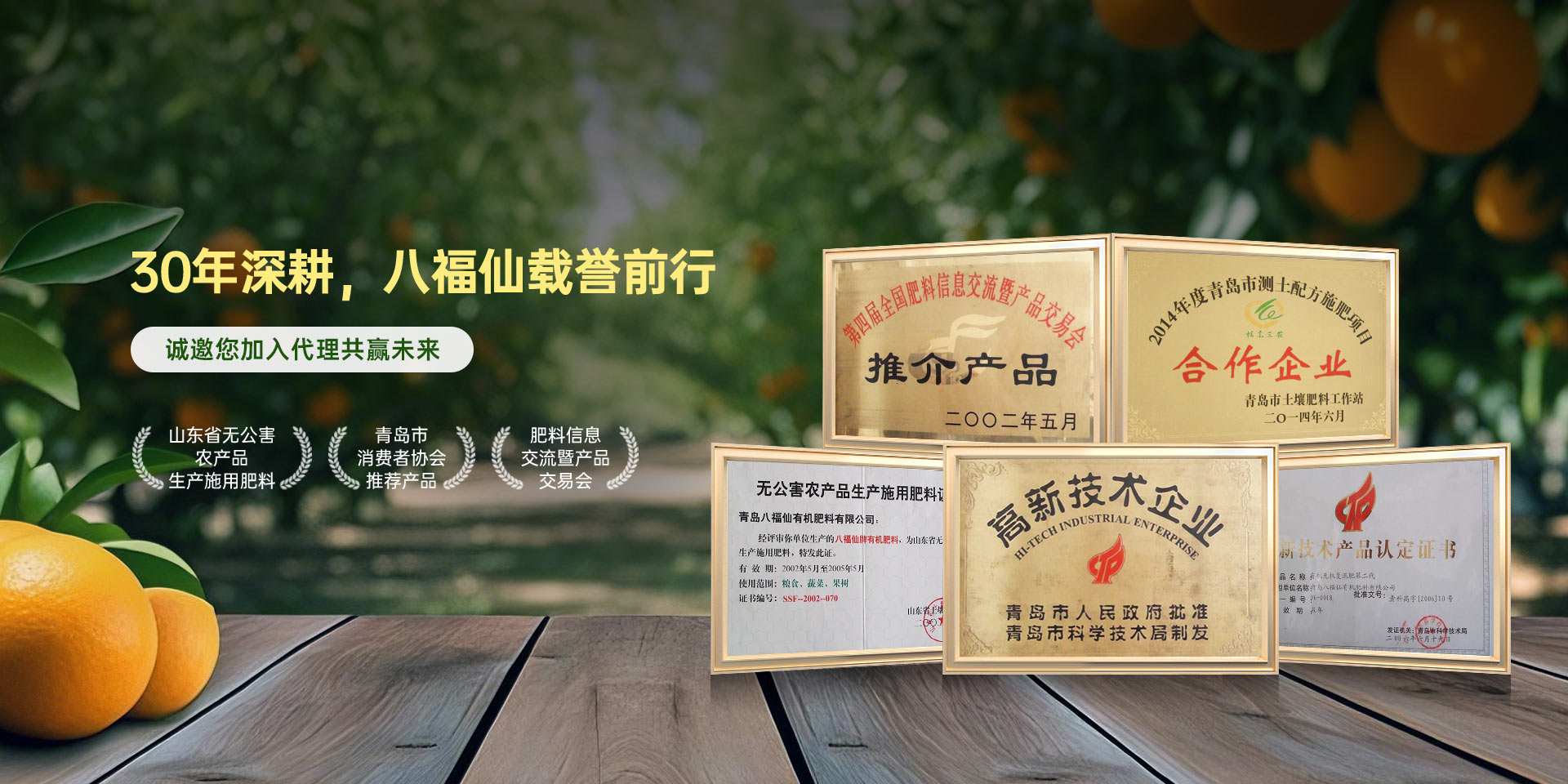 30年深耕 八福仙载誉前行
