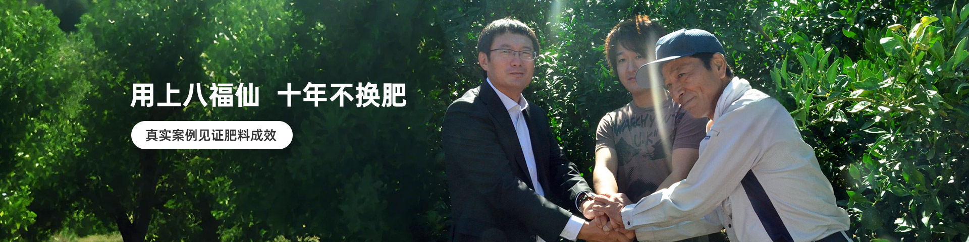 用上八福仙 十年不换肥
